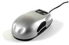 mouse from website.jpg